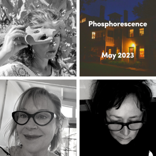 Graphic for phosphorescence poetry reading series May 2023