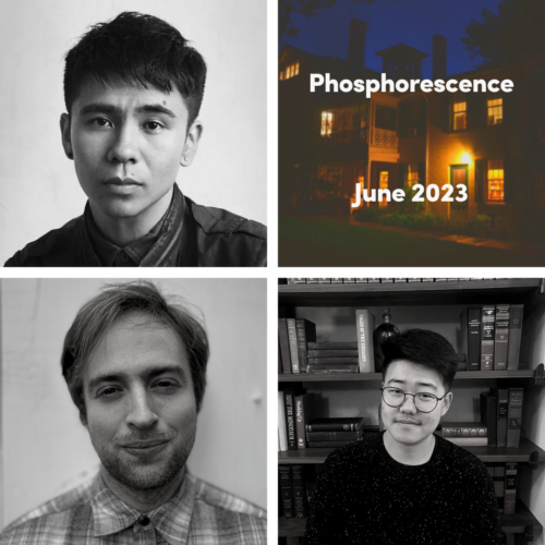 graphic for Phosphorescence June 2023