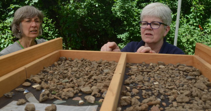 Archaeologists looking over artifacts found at the museum