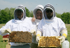 Three smiling apiarists holding honey combs