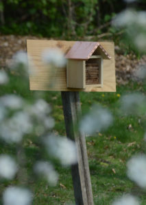 The beehive that now stands on the Dickinson property