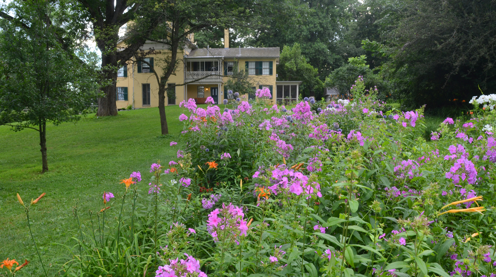 the homestead viewed through lush landscape with flowers in foreground