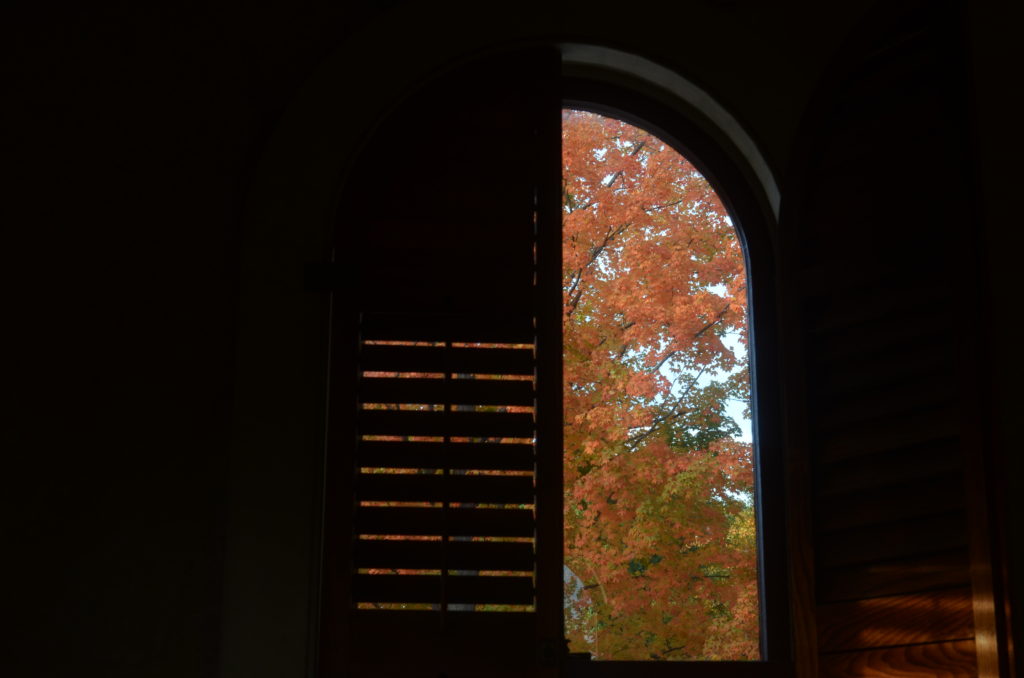 A shutter closed over half a window, with a view of autumn foliage