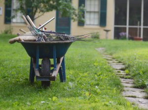 Wheelbarrow full of rakes on the homestead lawn 