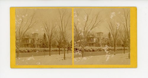 Black and white stereograph card showing a view of the Evergreens in winter.