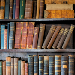 A close-up of about 30 books collected in the Homestead library