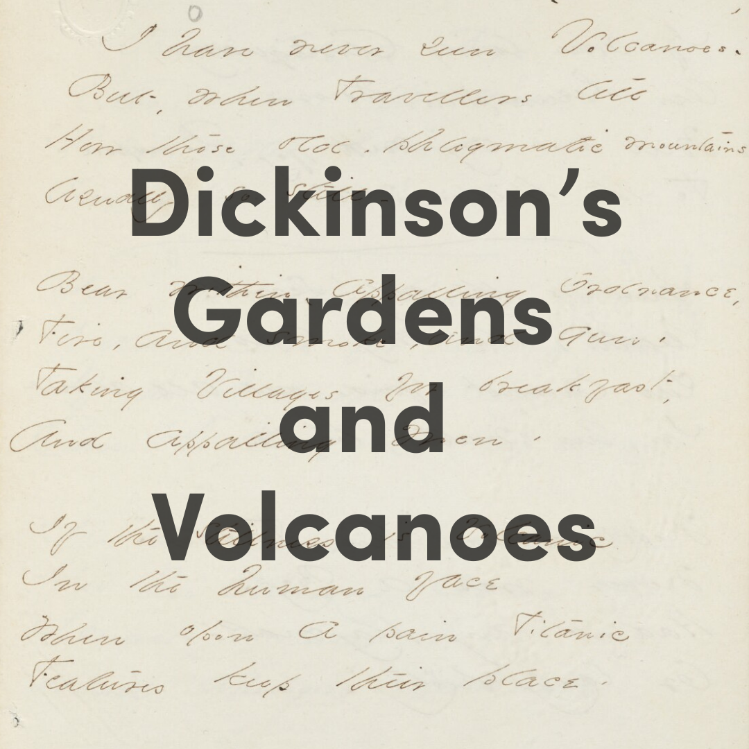 graphic Educator Workshop - Dickinson’s Gardens and Volcanoes