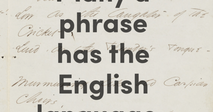 Educator Workshop - Many a phrase has the English language -