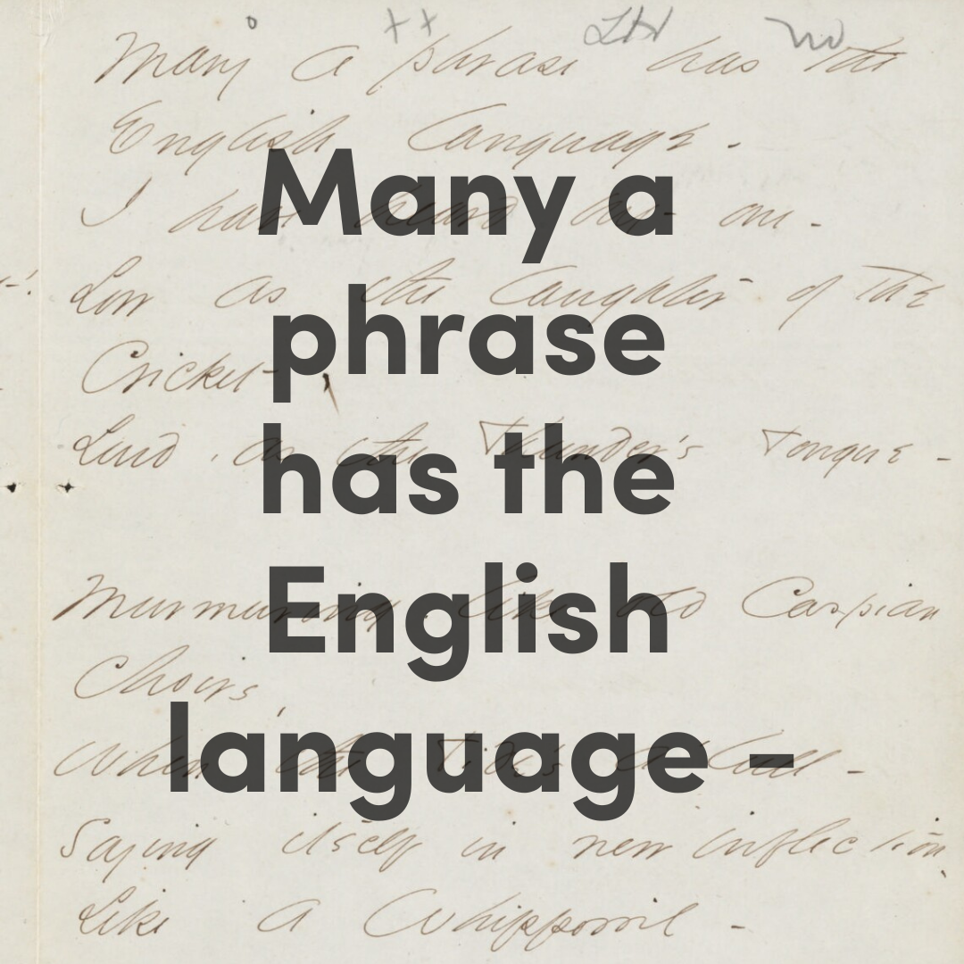 Educator Workshop - Many a phrase has the English language -