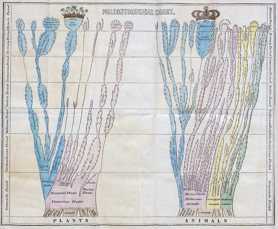 2 “Paleontological” charts naming plants & animals. At top center of each are “Palms” and “Man,” illustrated with crowns.