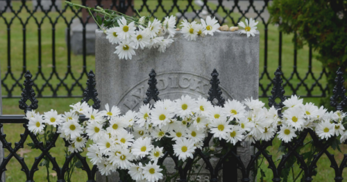 Dickinson's tombstone covered in daisies