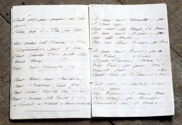 Manuscript of Emily's handwriting, not quite legible in photo