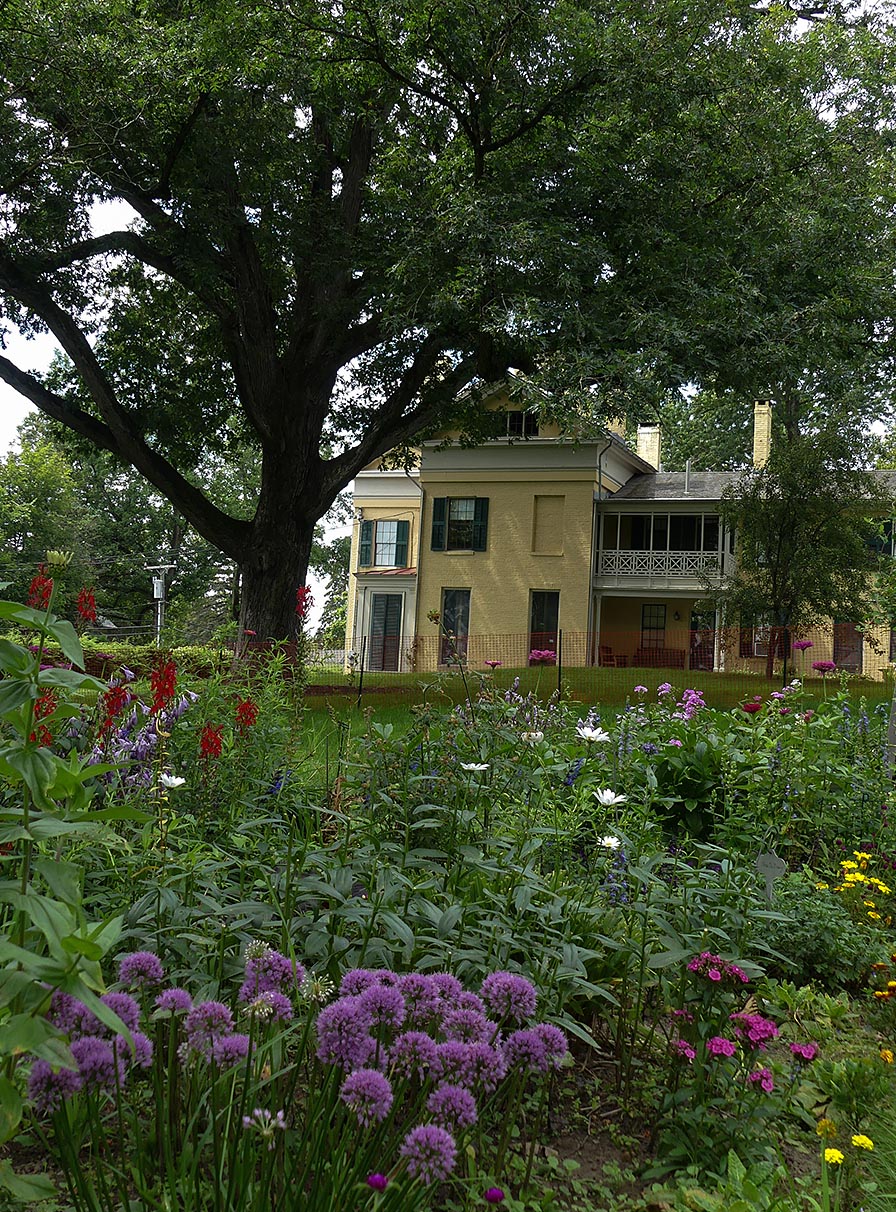 A bed of colorful flowers in front of an old, spreading oak tree and the Homestead (a yellow house with green shutters).