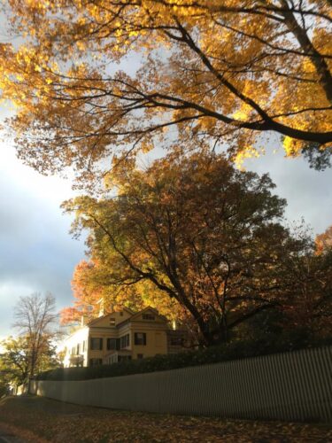Dim view of the Homestead from the street in the fall