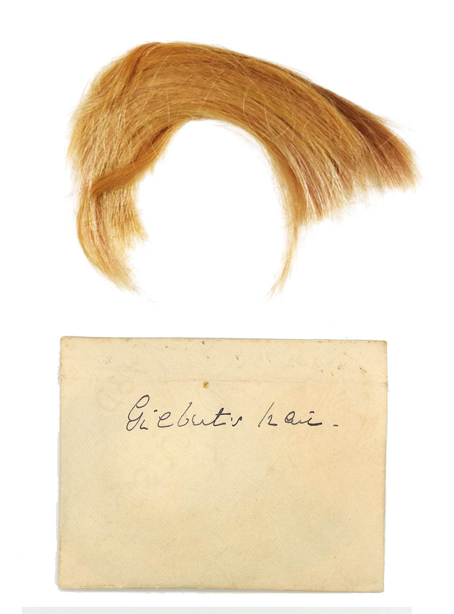A curled lock of golden-blonde hair, and a yellowed envelope with "Gilber's hair." printed on its face.