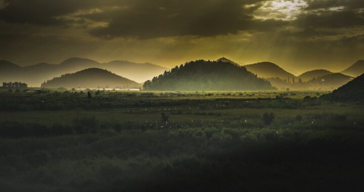 A photo taken from the perspective of a cemetery in Bosnian, featuring rolling, misty hills on a thickly cloudy day; In the foreground is a seemingly endless expanse of field. The whole photo is in tones of deep yellows, greens and blacks.