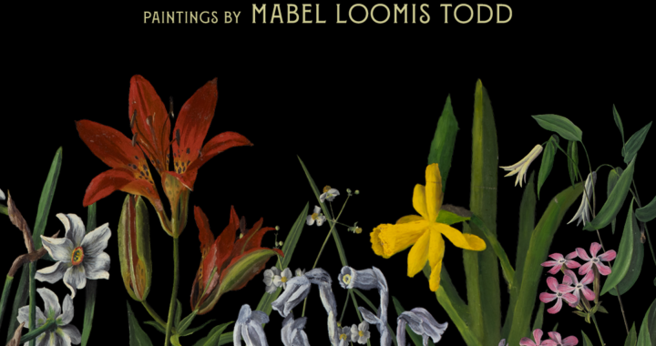 graphic for exhibition The Preferred Flower — paintings by Mabel Loomis Todd feauturing a variety of painted flowers from Todd's works