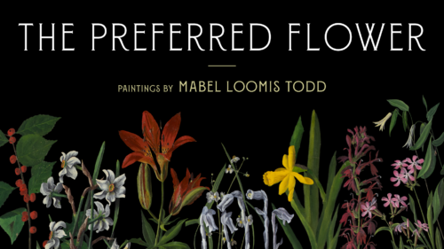 banner for exhibition the Preferred Flower paintings by Mabel Loomis Todd featuring a collage of different flowers painted by Todd