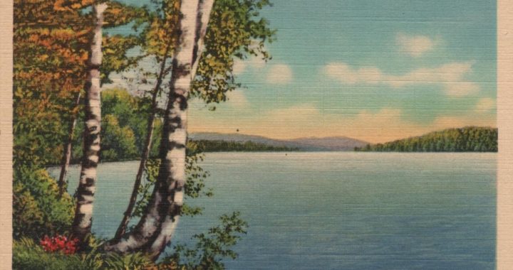 test postcard - a scene in Maine