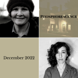 Phosphorescence graphics for December 2022