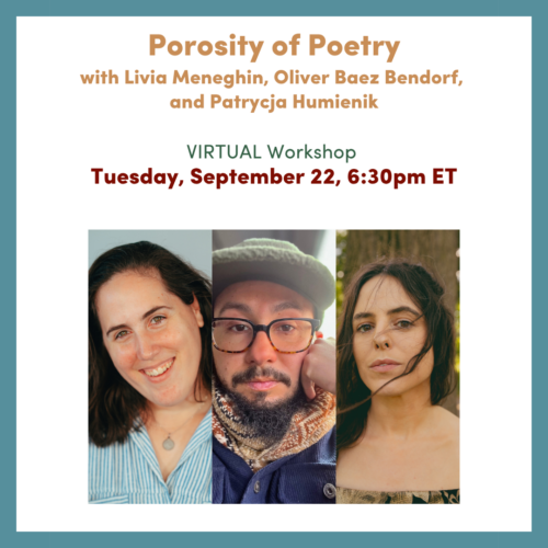 graphic Porosity of Poetry - Tell It Slant 2026