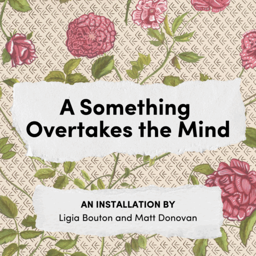 A Something Overtakes the Mind graphic