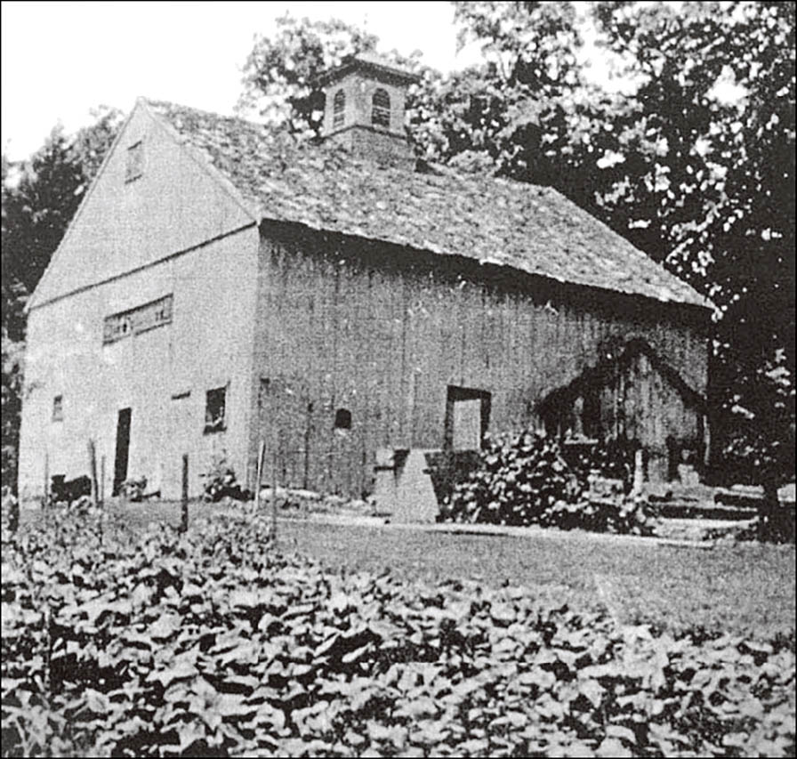 Black and white photo of a large wooden barn with a cupola. Folliage of a garden in the foreground.