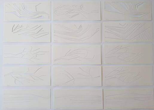 A set of canvases arranged in a 5 by 3 grid, each painted white and featuring tree-branch-like lines etched into the paint