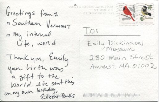 Postcard verso with handwritten inscription in black ink
