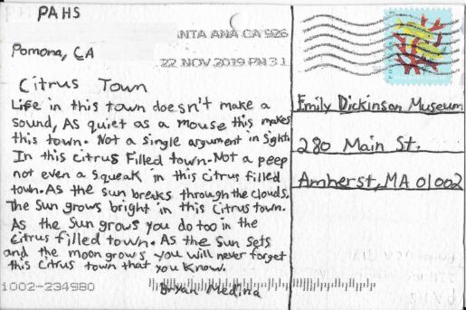 postcard verso with handwritten inscription in black ink