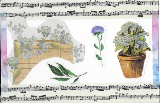 Postcard face featuring a collage of images of plants and sheet music