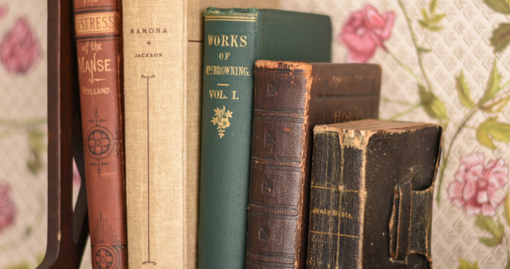 a close up of books on dickinson's shelf