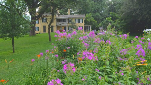 Emily's garden with Homestead in the background