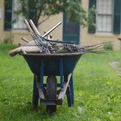 a wheelbarrow for garden days