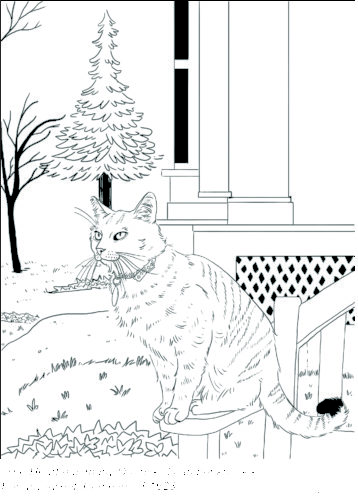 Downloadable coloring sheet of a cat with color on a the steps of a house.