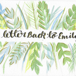 Postcard face featuring a watercolor painting of various plants and the text "a letter Back to Emily"