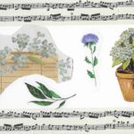 Postcard face featuring a collage of images of plants and sheet music