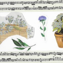 Postcard face featuring a collage of images of plants and sheet music