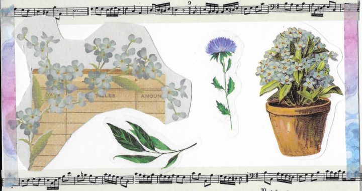 Postcard face featuring a collage of images of plants and sheet music