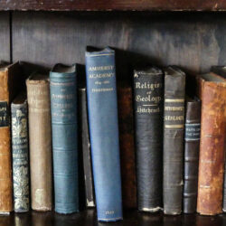 a row of Dickinson's textbooks on a shelf