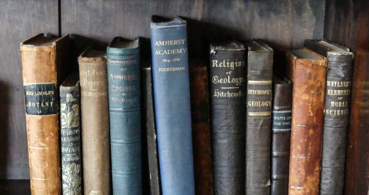 a row of Dickinson's textbooks on a shelf