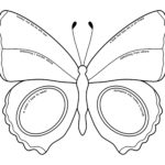 image of wings of words butterfly worksheet
